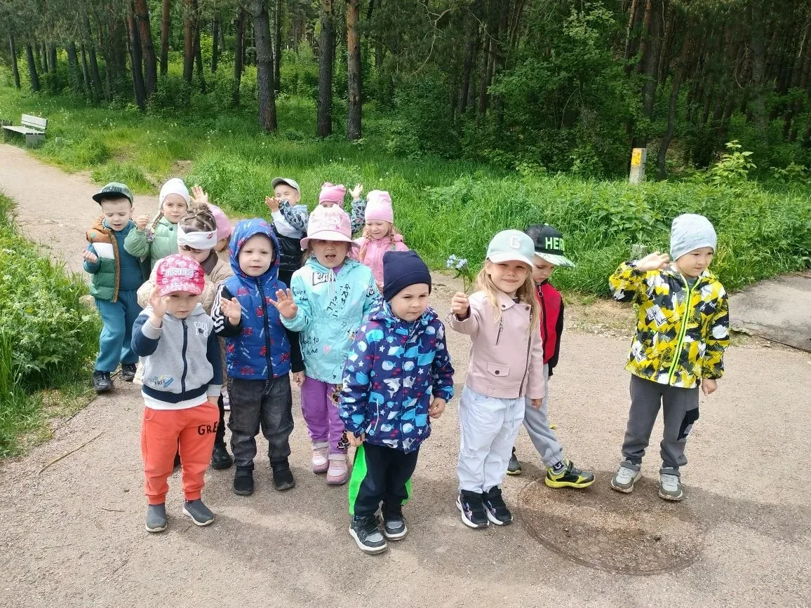 🌿 Ах, как хорошо в лесу!