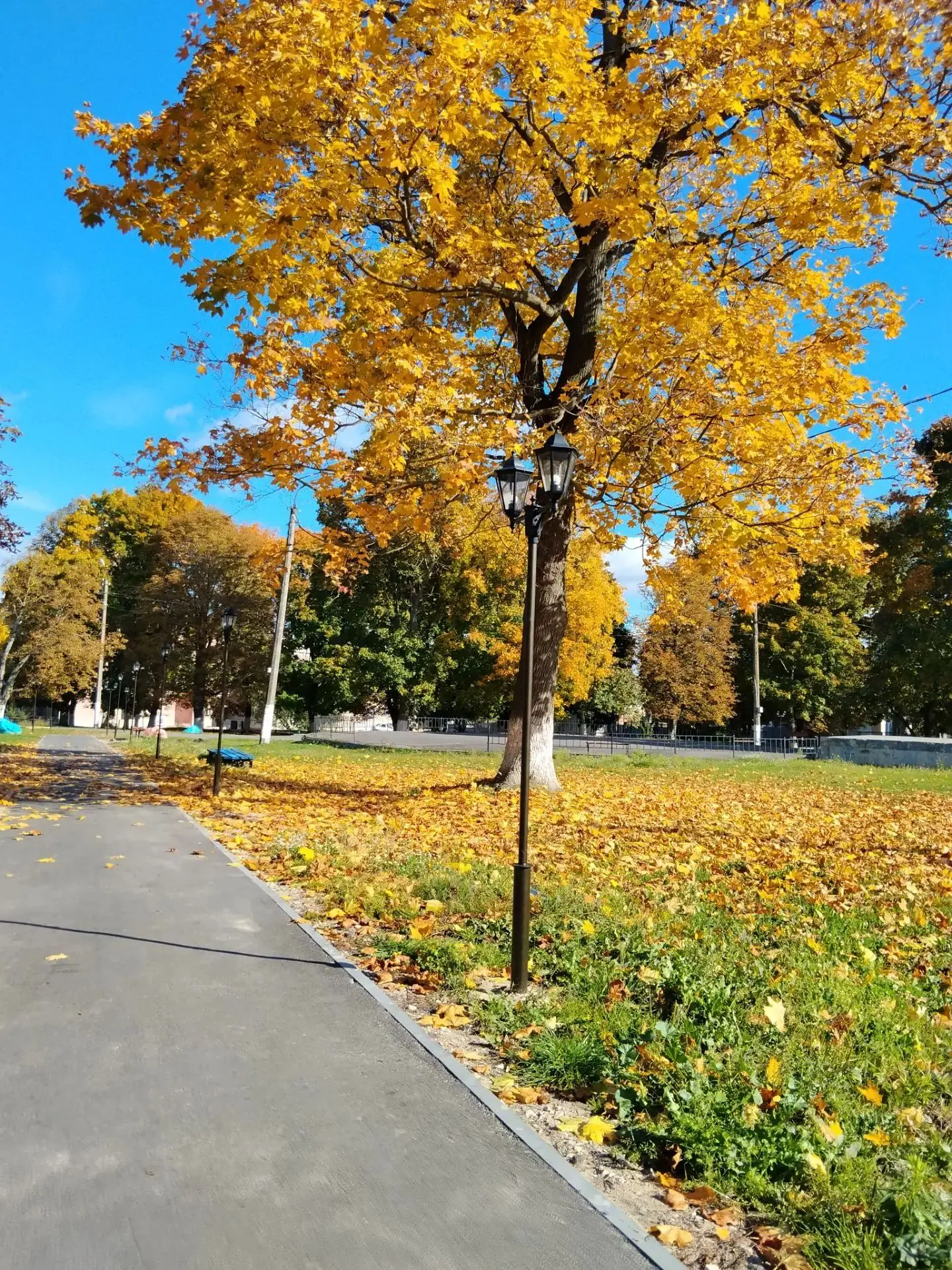 Осень в Климово и районе 🍁🍁🍁