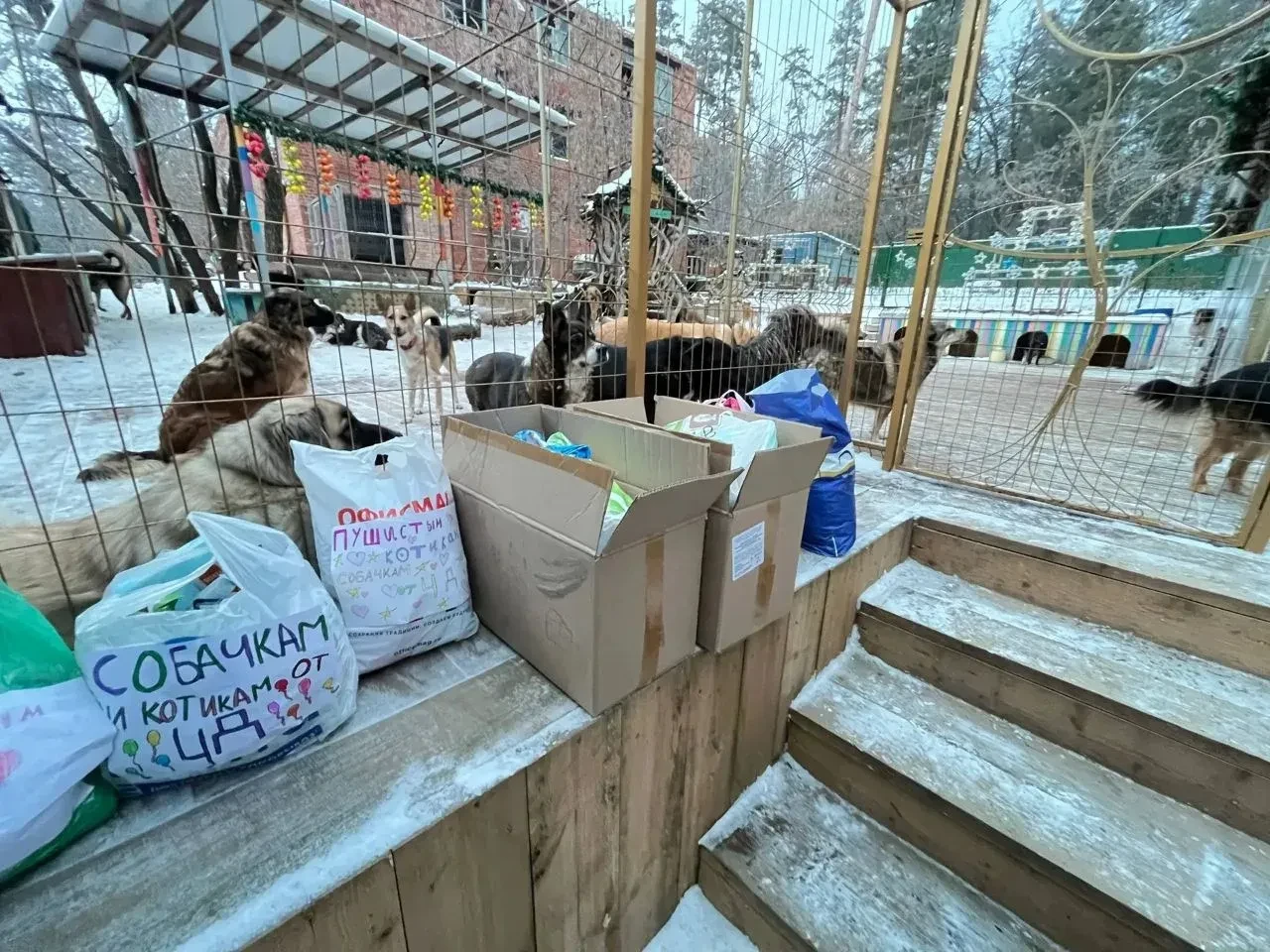 Волонтёрская акция в начальной школе села Подстепки: "Помощь четвероногим друзьям".  Недавно в нашей