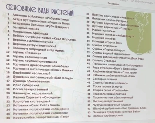 Ассортимент растений высаженный 3 года над в "Саду трав".