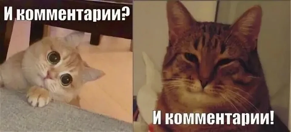 📱💬Дуслар, в нашем канале появились комментарии