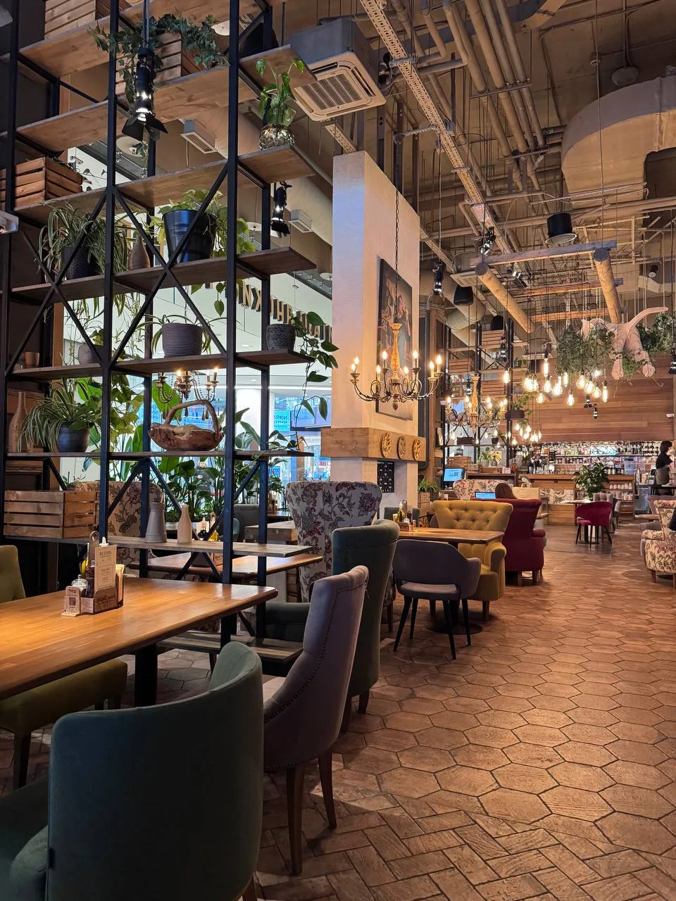 🌱Osteria Mario