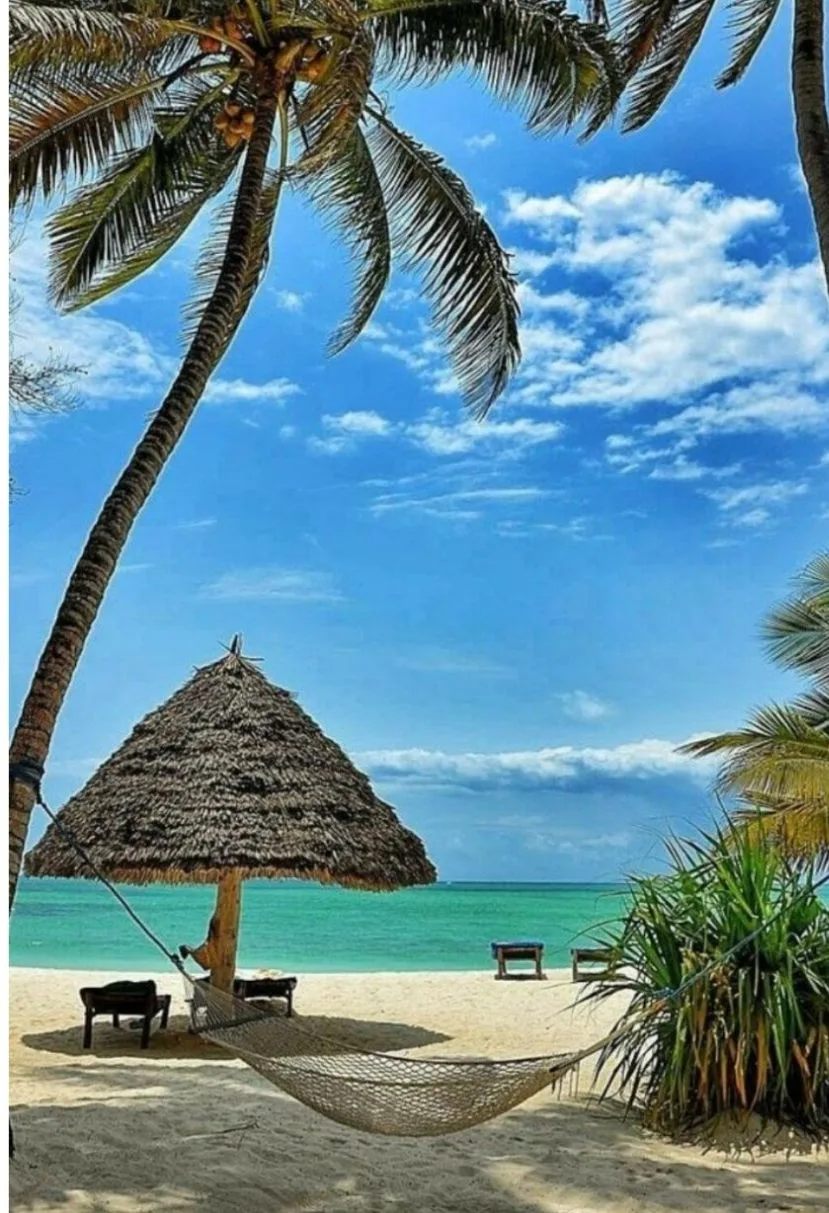 🌍 Занзибар по суперцене — 264 000 ₽ на двоих! 🦒