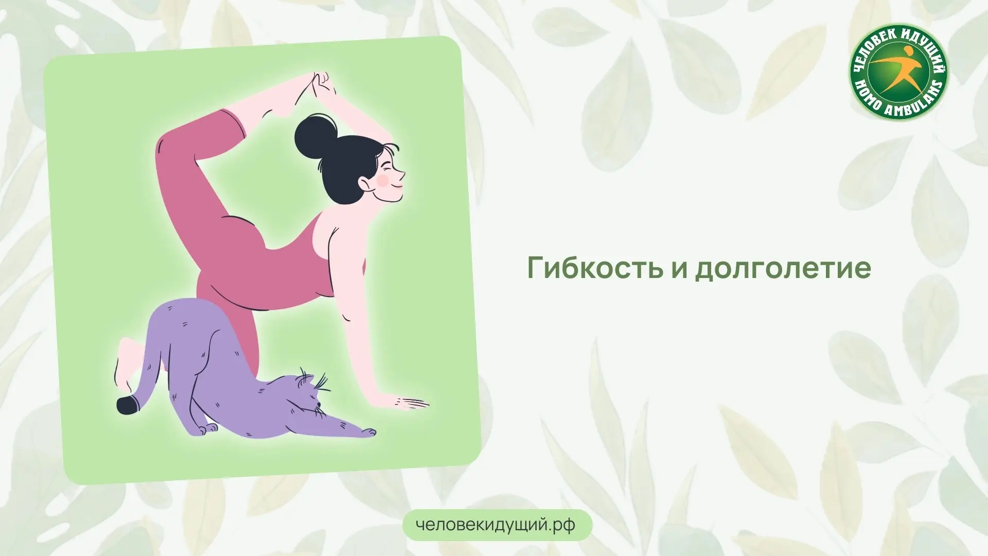 Гибкость тела оказалась тесно связана с продолжительностью жизни. Учёные наблюдали за несколькими ты