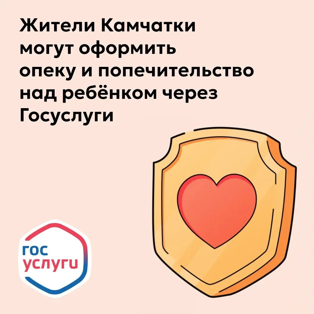 Органы опеки и попечительства Камчатского края переходят на электронный формат
⁣
Это стало возможным