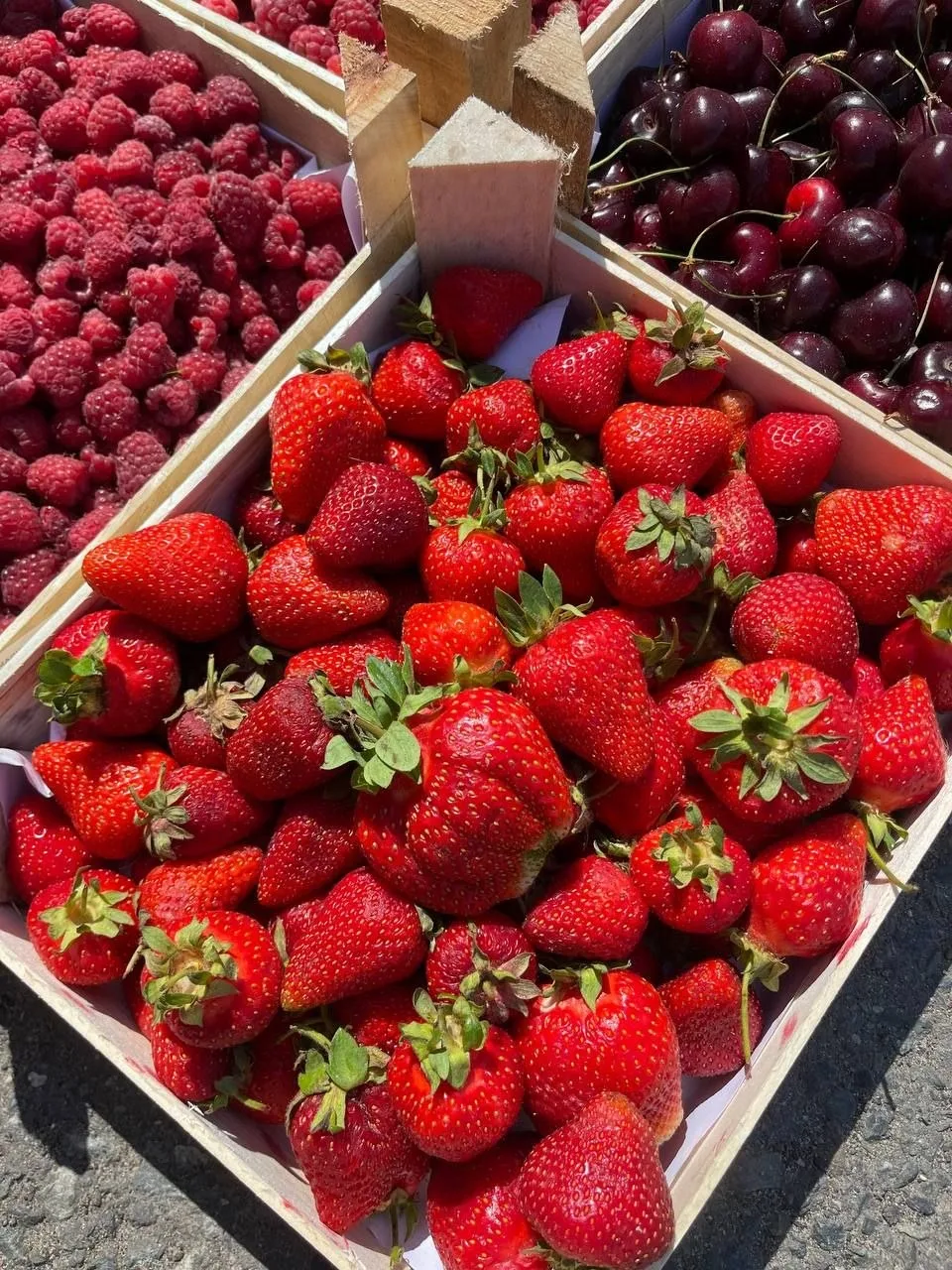 🍓 Ягодка в наличии в магазине, в свободной продаже! 

🔆  15 июня 
Сегодня магазин работает 
Ул.Гер