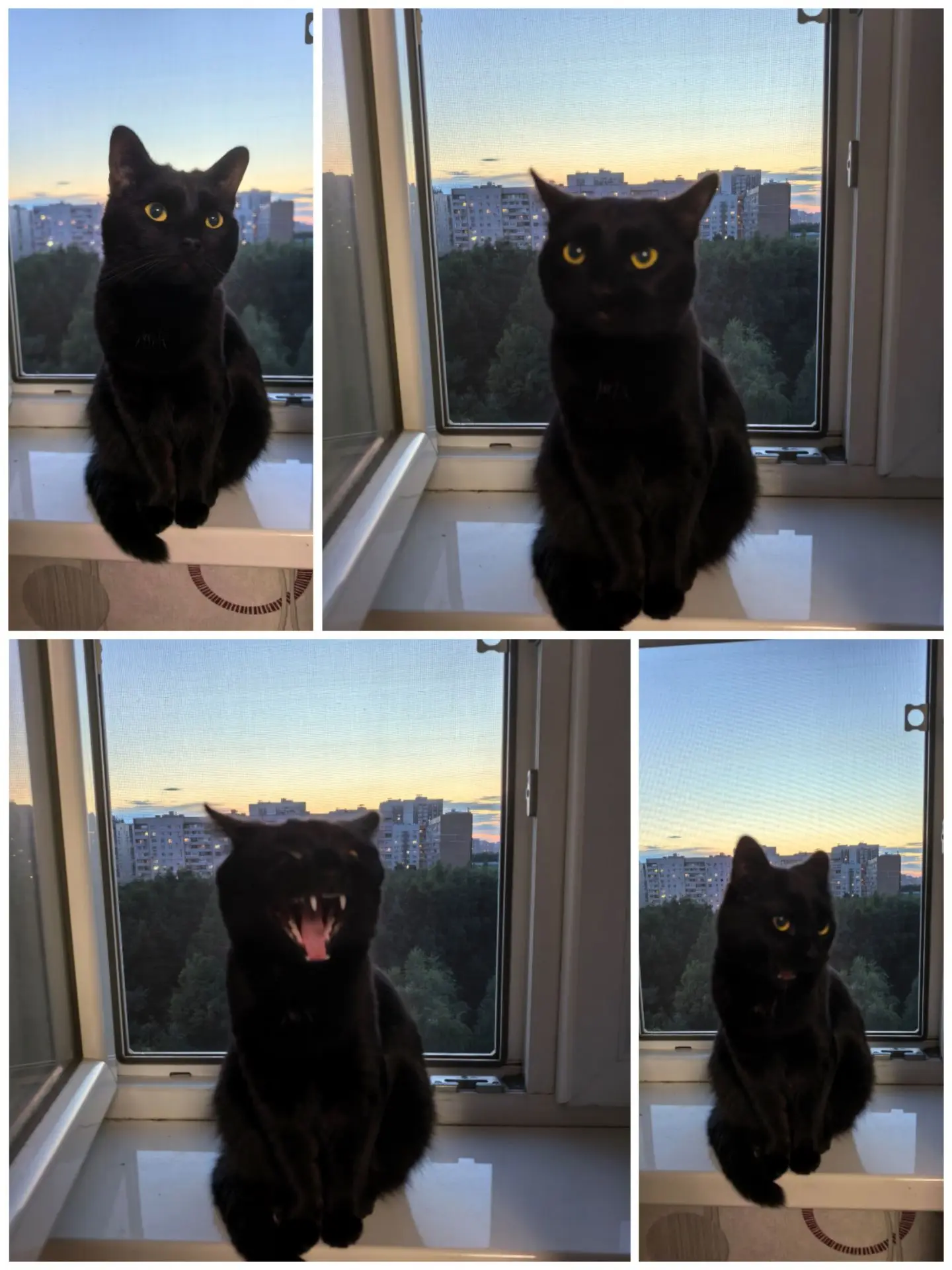 Каждую неделю — особый ритуал!