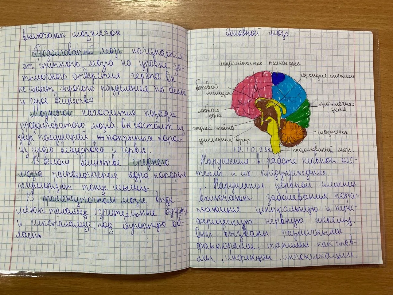 Рабочие тетради по биологии. Учитель Шабиханова З.Л.