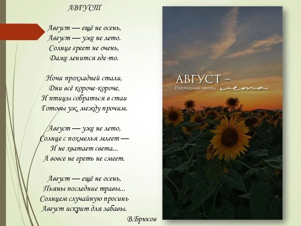 🍉Август