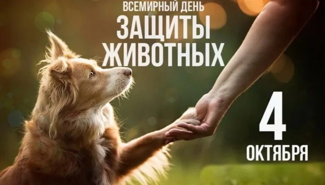 Всемирный день защиты животных — 4 октября!