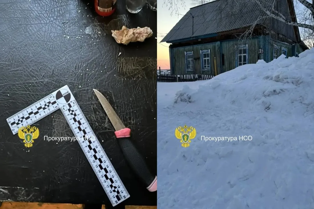 Замертво упал на дорогу: жительница Новосибирской области убила возлюбленного из-за ссоры

Жительниц