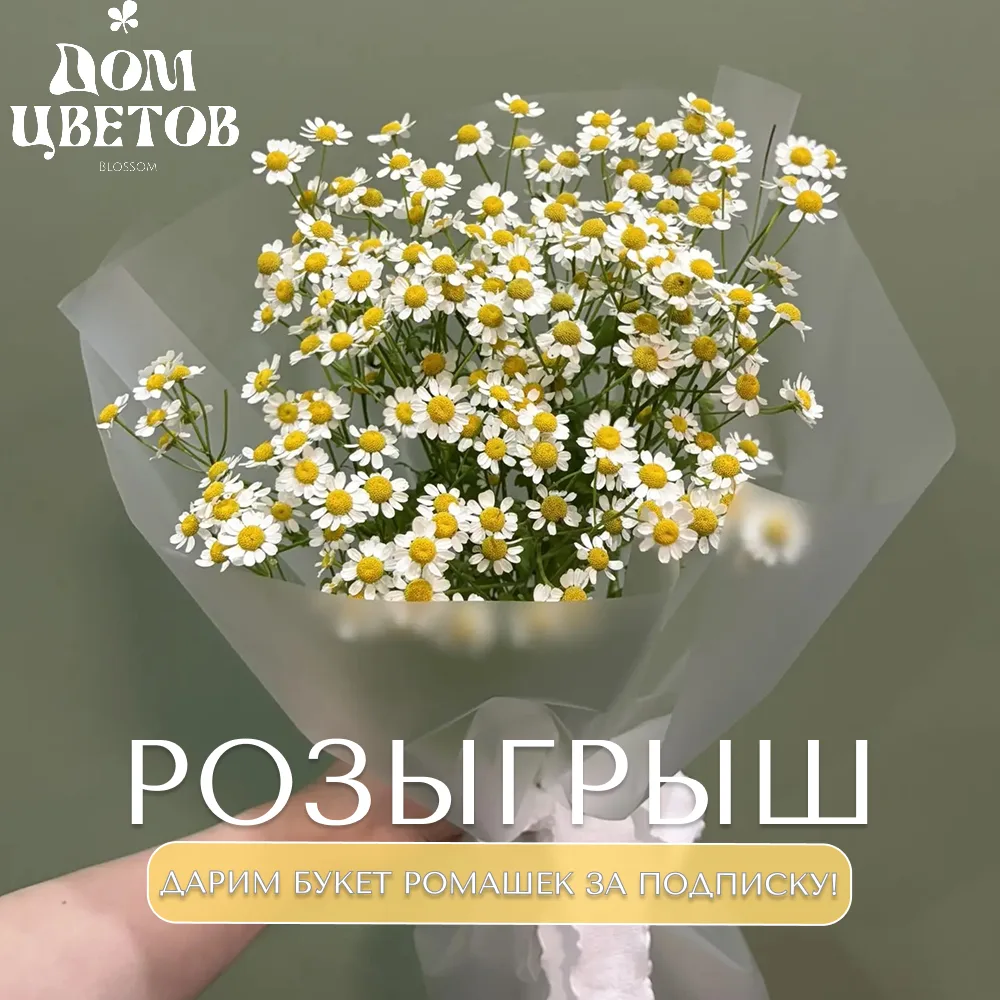 🎉 Результаты розыгрыша: