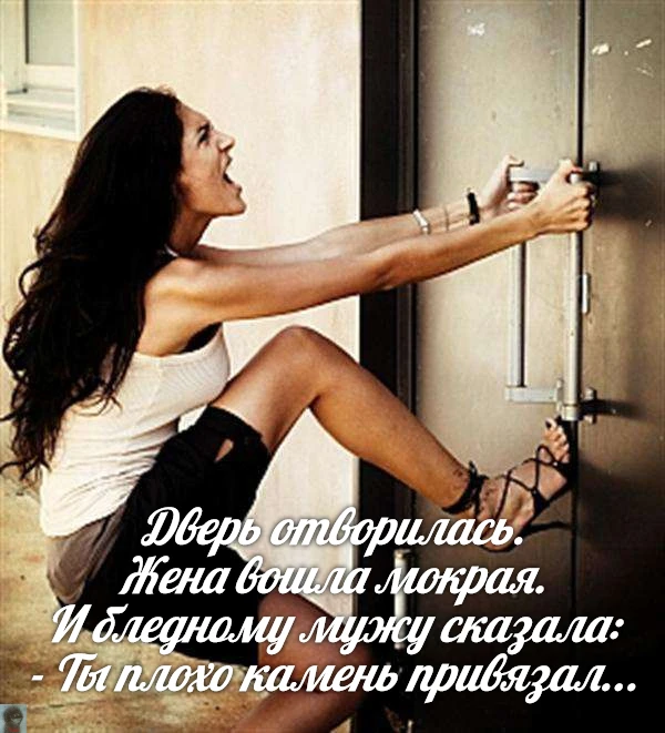 За Ежей в тумане    https://max.ru/public217562846