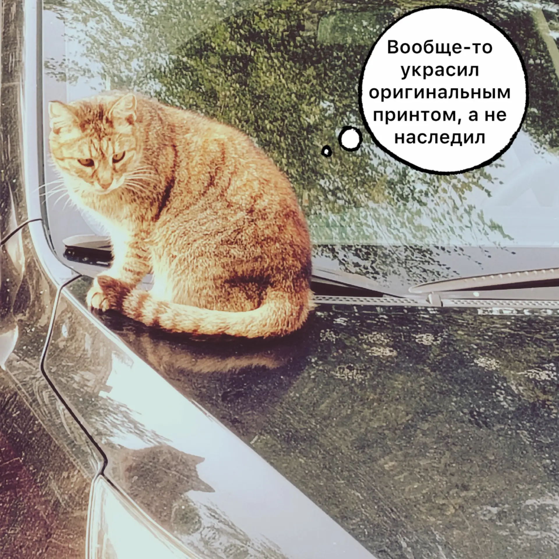 Никто не понимает истинного художника😿