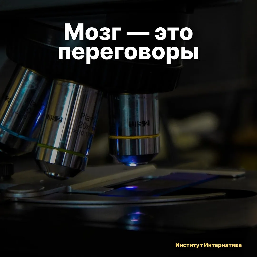 🧠 Свежий препринт с arXiv. Прочитала и остановилась на одном месте: UCLA разобрались, ...