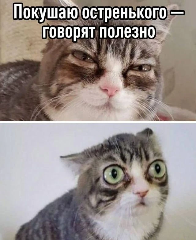 Острые ощущения🔥🔥🔥