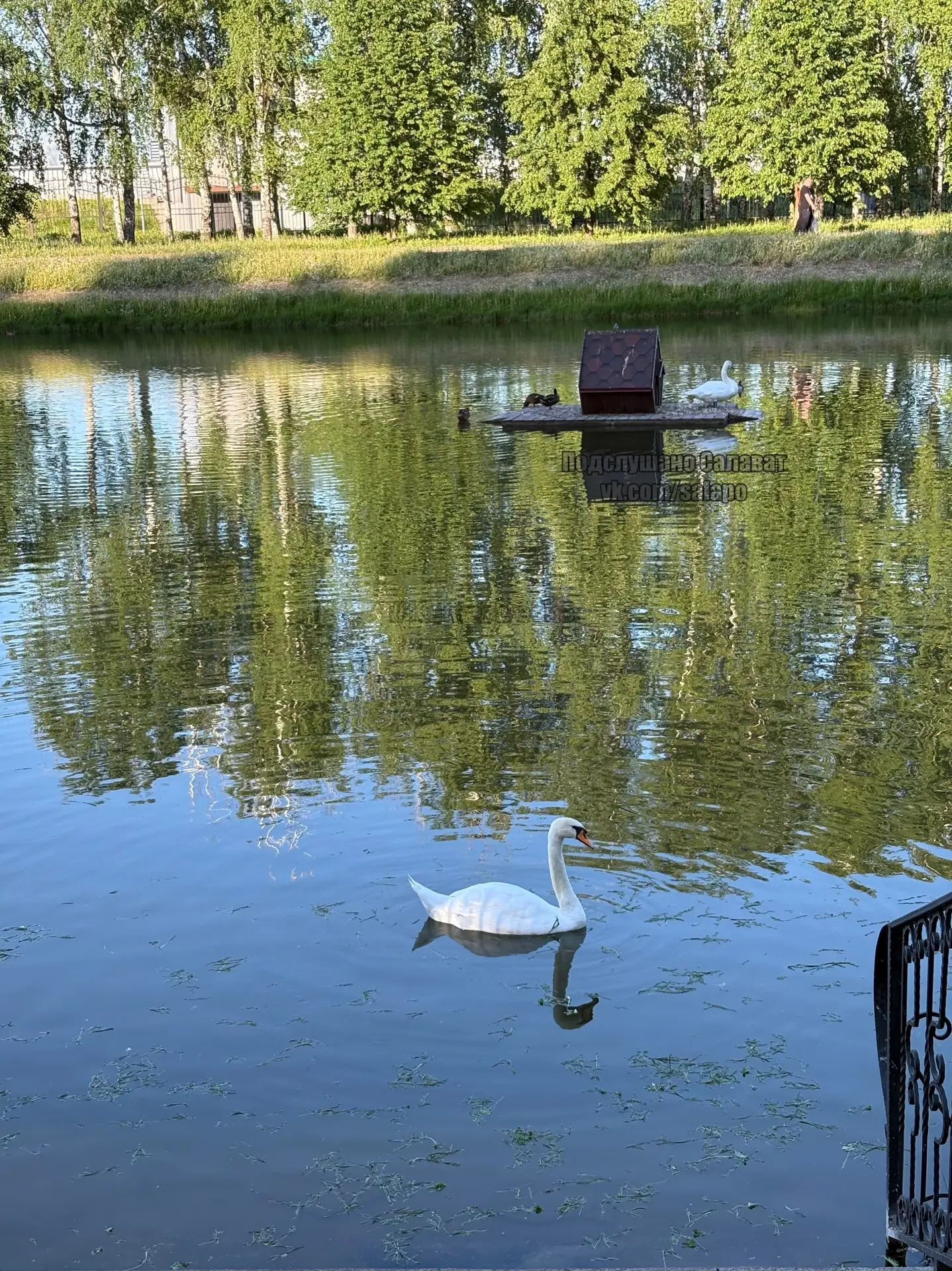 🦢 ❤️ 🦢  Подписаться на Подслушано Салават