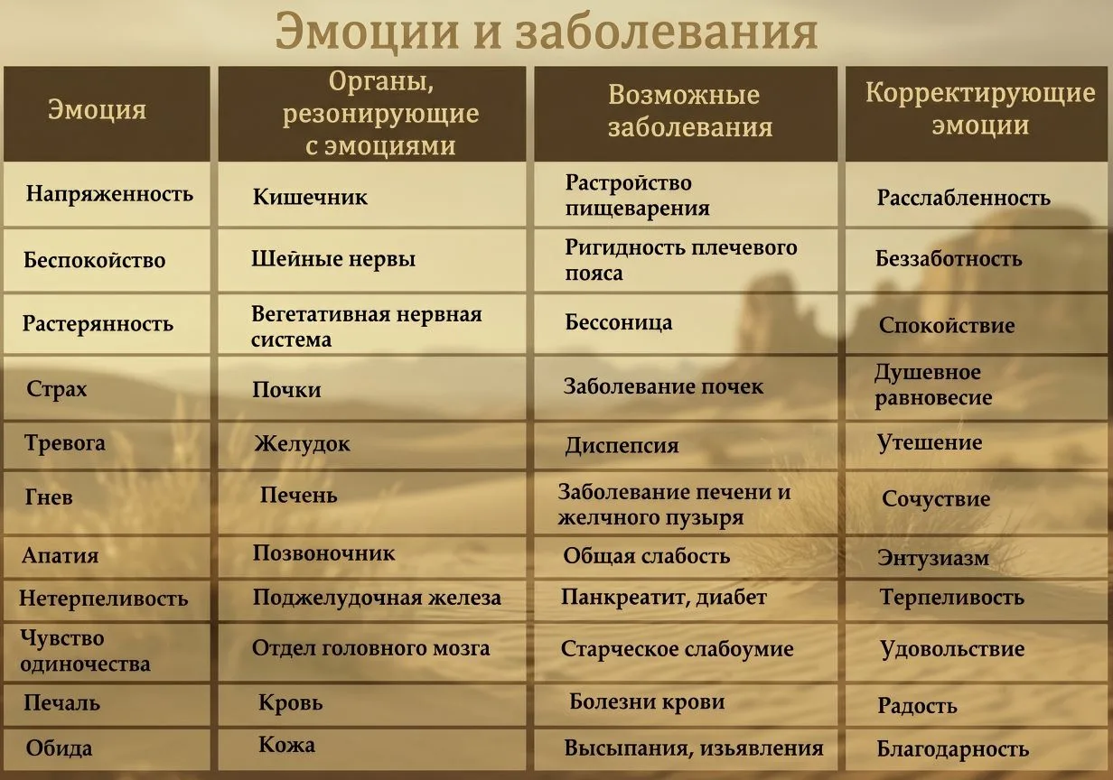 Баланс работы органов с помощью китайской оздоровительной медицины У-син