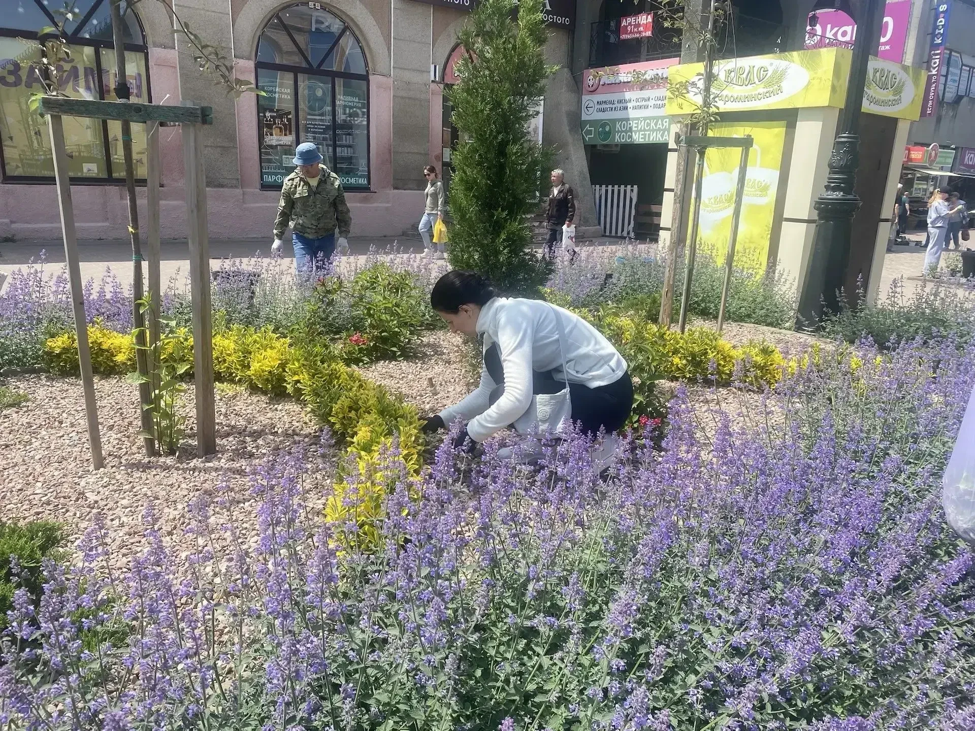 ⚡️Клумбы в центре Ейска привели в порядок  Сегодня сотрудники городской администрации, структурных и