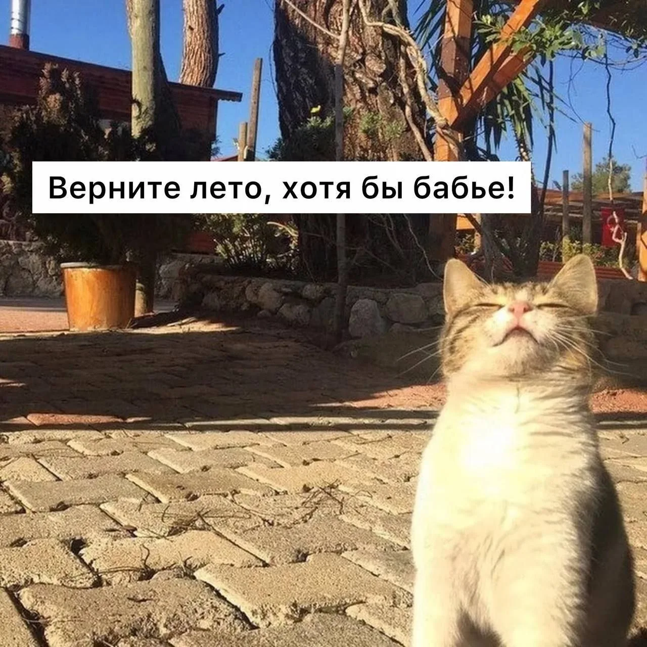 🍂 Синоптики прогнозируют приход «бабьего лета» в столицу ориентировочно во второй поло...