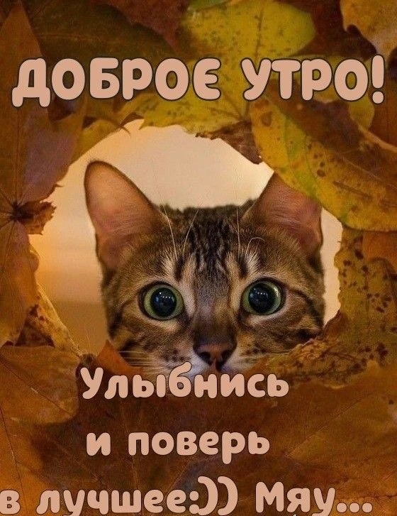 КРАСИВЫЕ ОТКРЫТКИ ТУТ💖