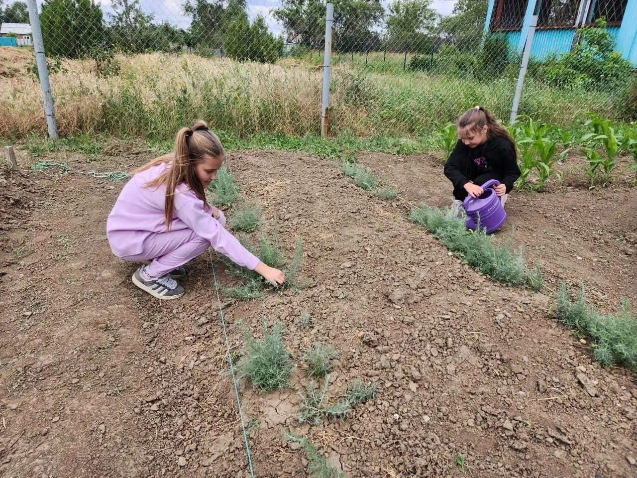 🌍 Сегодня отмечается Всемирный день борьбы с опустыниванием и засухой.

🌷В нашей республике более 