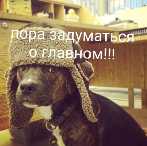 Ода распределению добродетели, или Анатомия идеальной жалости