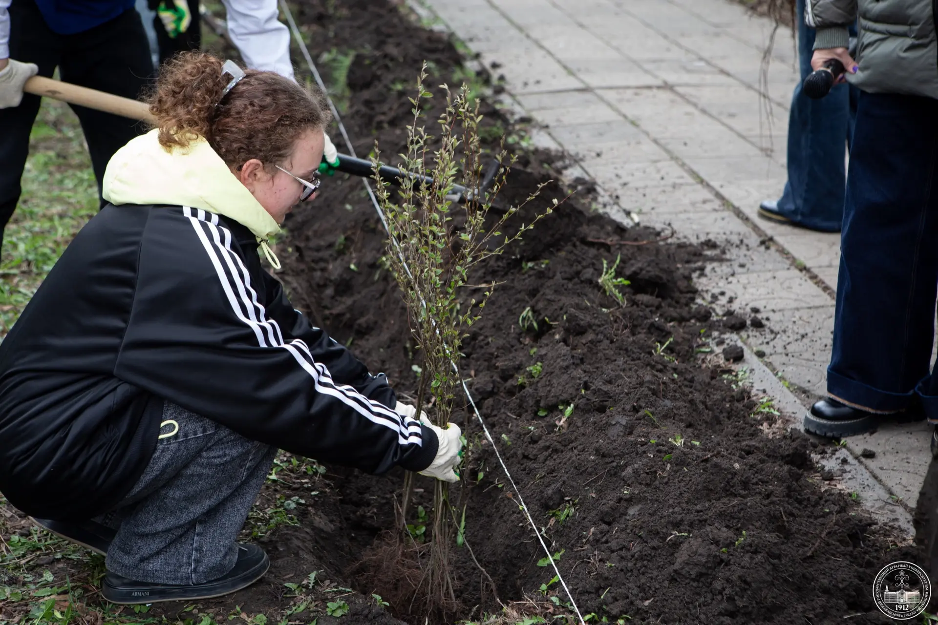 🌳 Появление живых мемориалов в честь наших героев: акция «Сад Памяти»  Сегодня в парке имени К.Д. Гл
