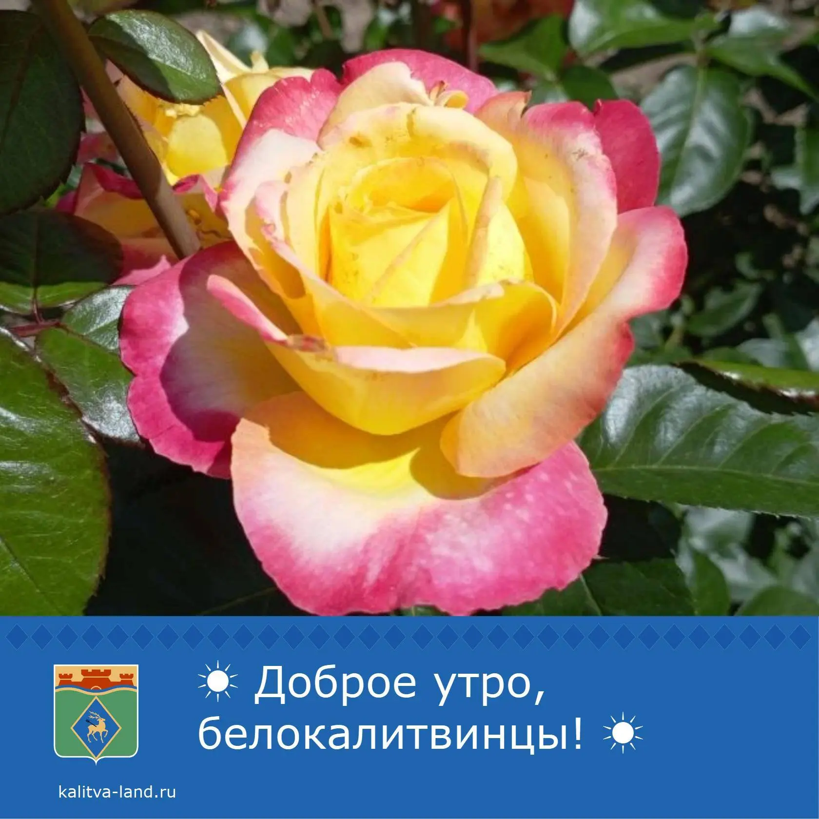 ☀️ Доброе утро, белокалитвинцы!

Отличного воскресного дня!✨

#Доброеутро #белокалитвинцы #Администр