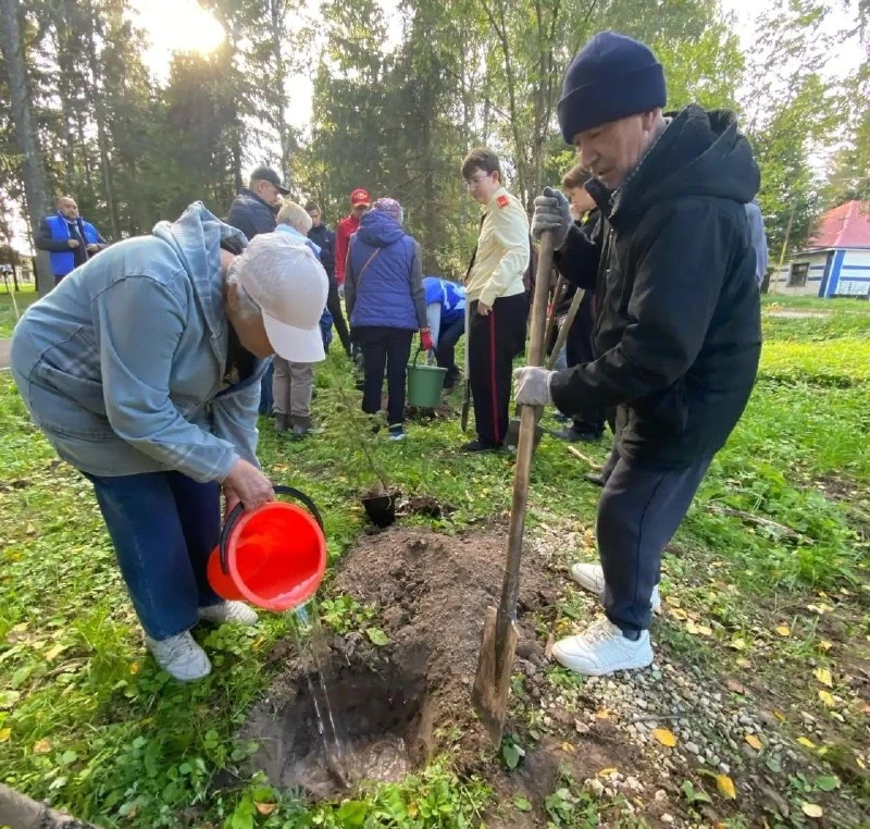 🌳 Жители Советского высадили 32 дерева в посёлке