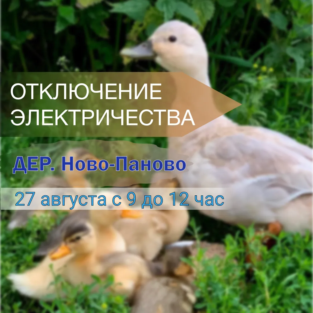 Внимание!