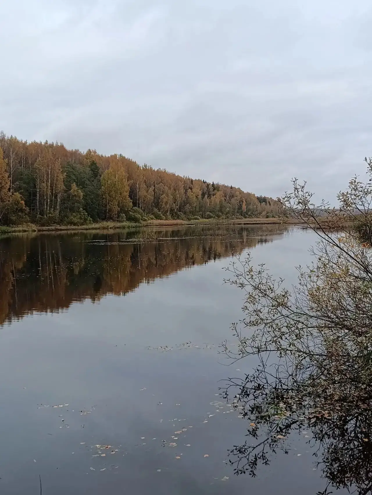 Как сотни лет назад течёт Оредеж.