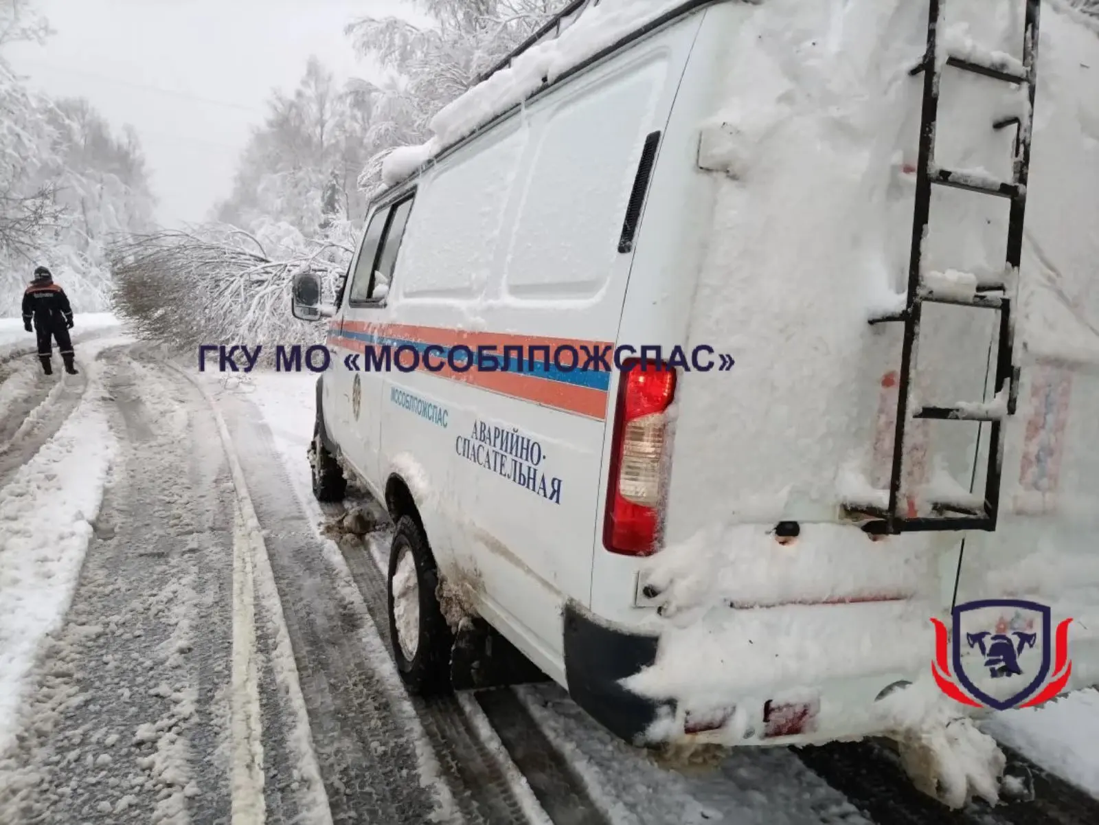 ❄️Оборванные провода, деревья на трассе. Спасатели продолжают ликвидировать последствия снегопада 🚨 