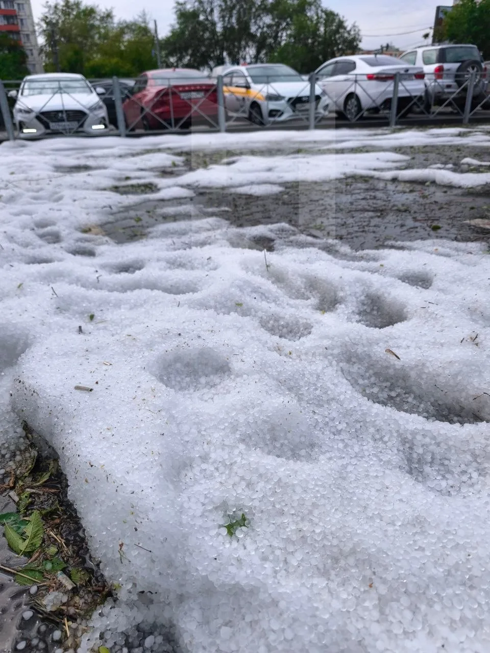 ❄️ Зима официально наступила на востоке Москвы