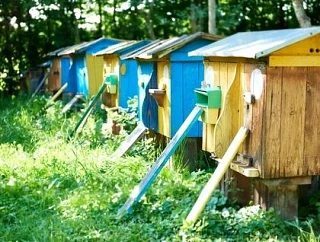 Майнинг-ферму замаскировали под пчелиные ульи