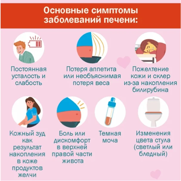 📌Не игнорируйте тревожные симптомы. Сделайте профилактику заболеваний печени частью своего образа ж