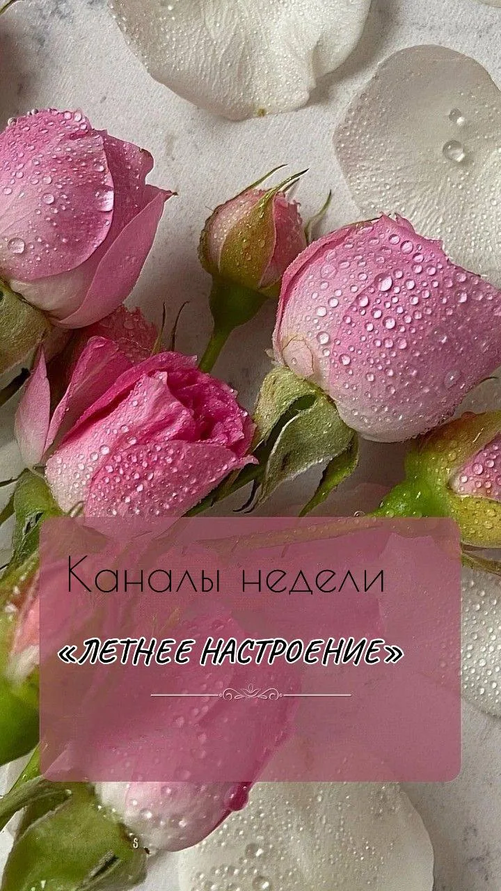 🌺ЛЕТНЕЕ НАСТРОЕНИЕ🌺
Каналы на любой вкус :

🌺 ИСТОРИИ В ТЕЛЕФОНЕ
Страшные. Редкие. Загадочные. Ре