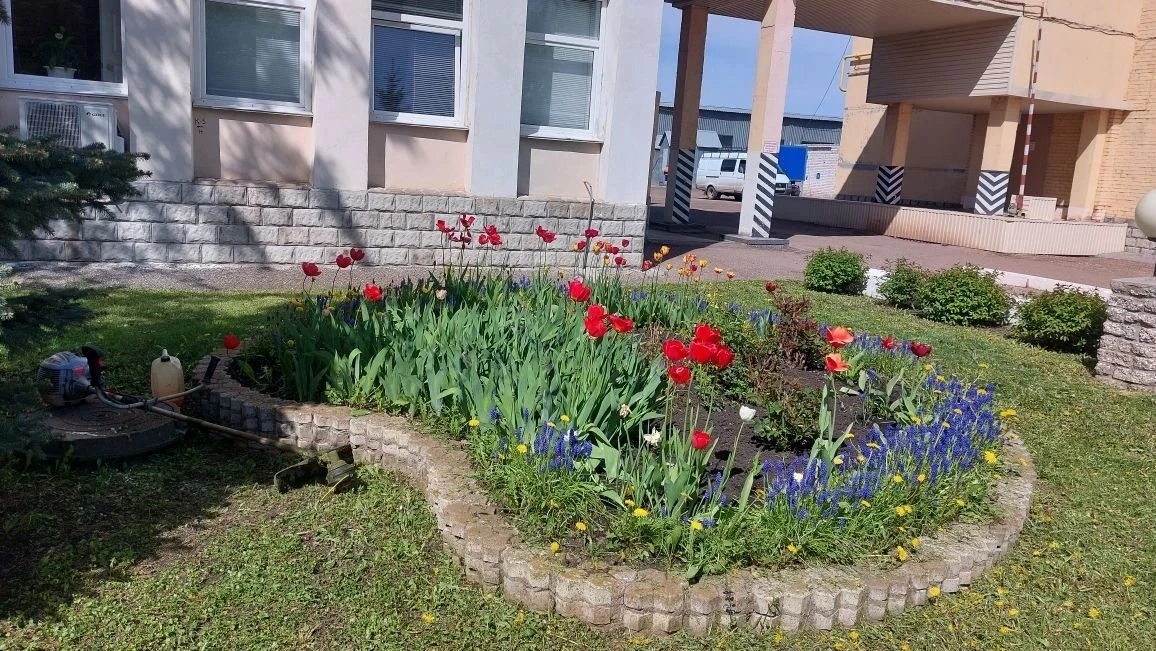 В преддверии теплого сезона сотрудники ГУП РБ «Салаватводоканал» с энтузиазмом взялись ...