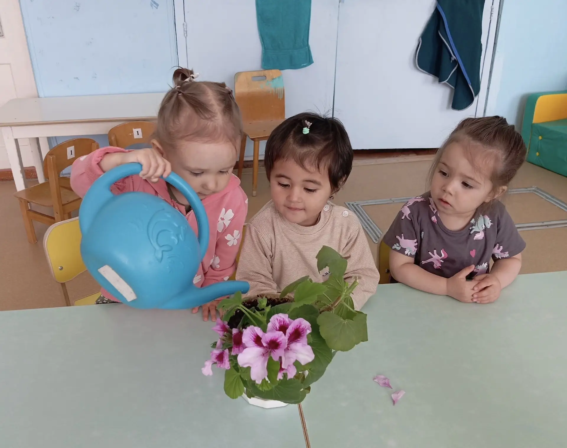 🌿 5 июня — Всемирный день окружающей среды! 🌿

В нашем детском саду забота о природе — не разовое 