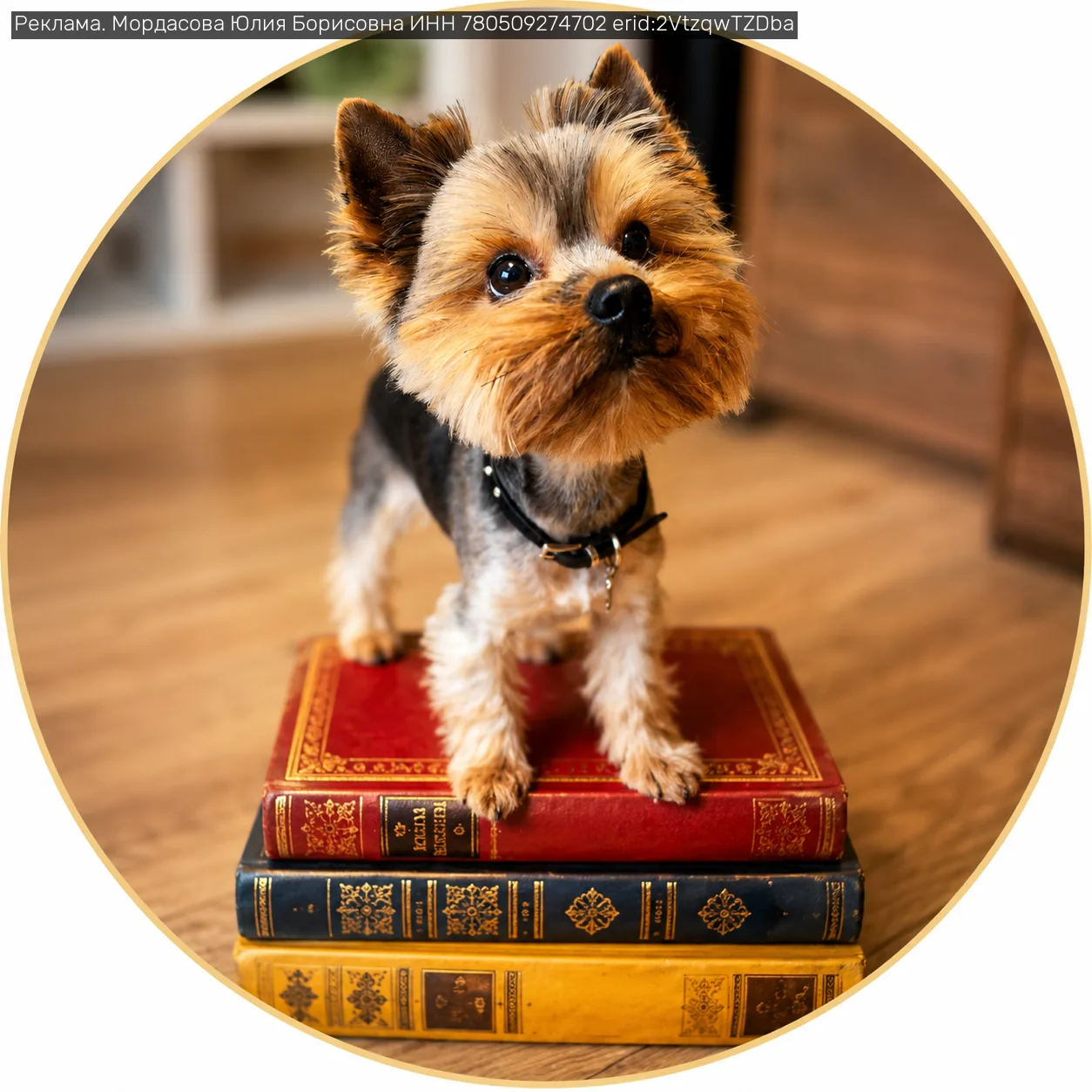 А вы умеете отличать старую книгу от ценного издания?