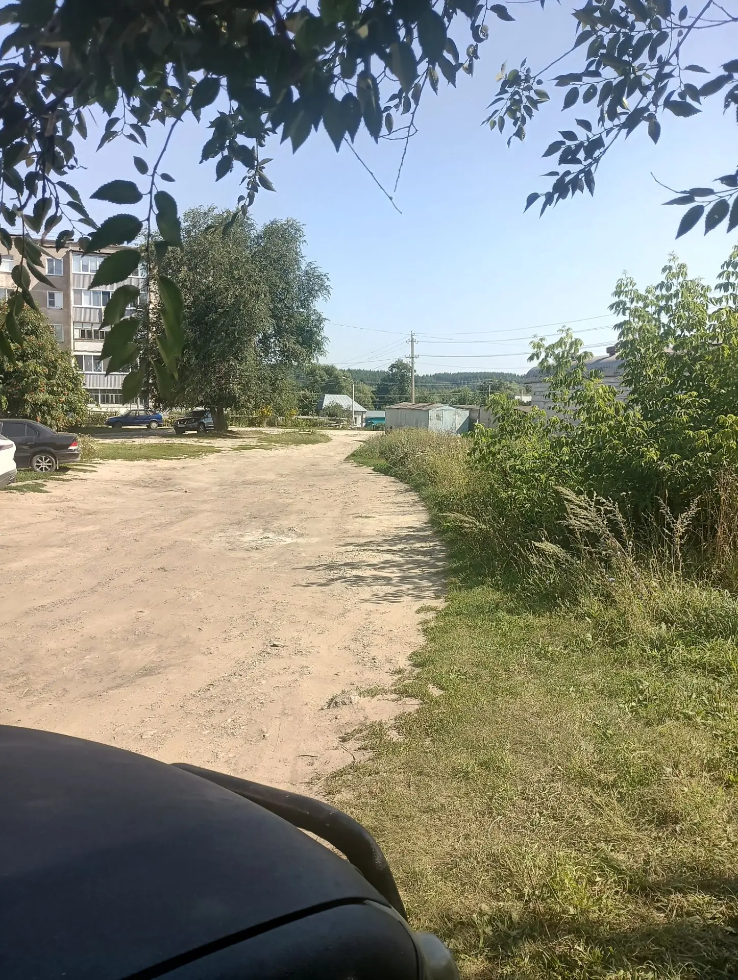 Скосили траву и кустарник на придомовой территории МКД (ул. Ленина 89)