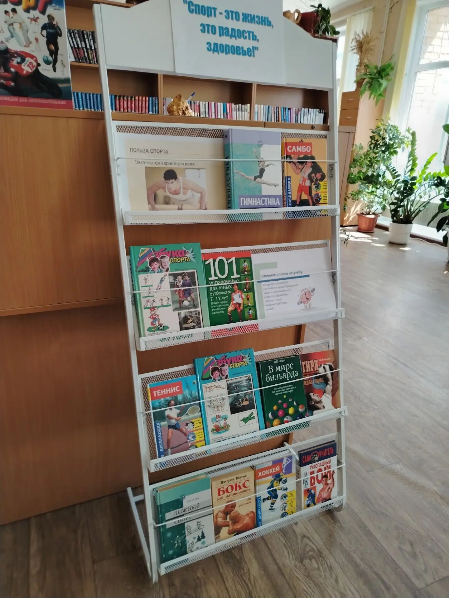 Сотрудники библиотеки Борского КСК подготовили сегодня, 25. 06.2026 г., книжную выставку и занятие д