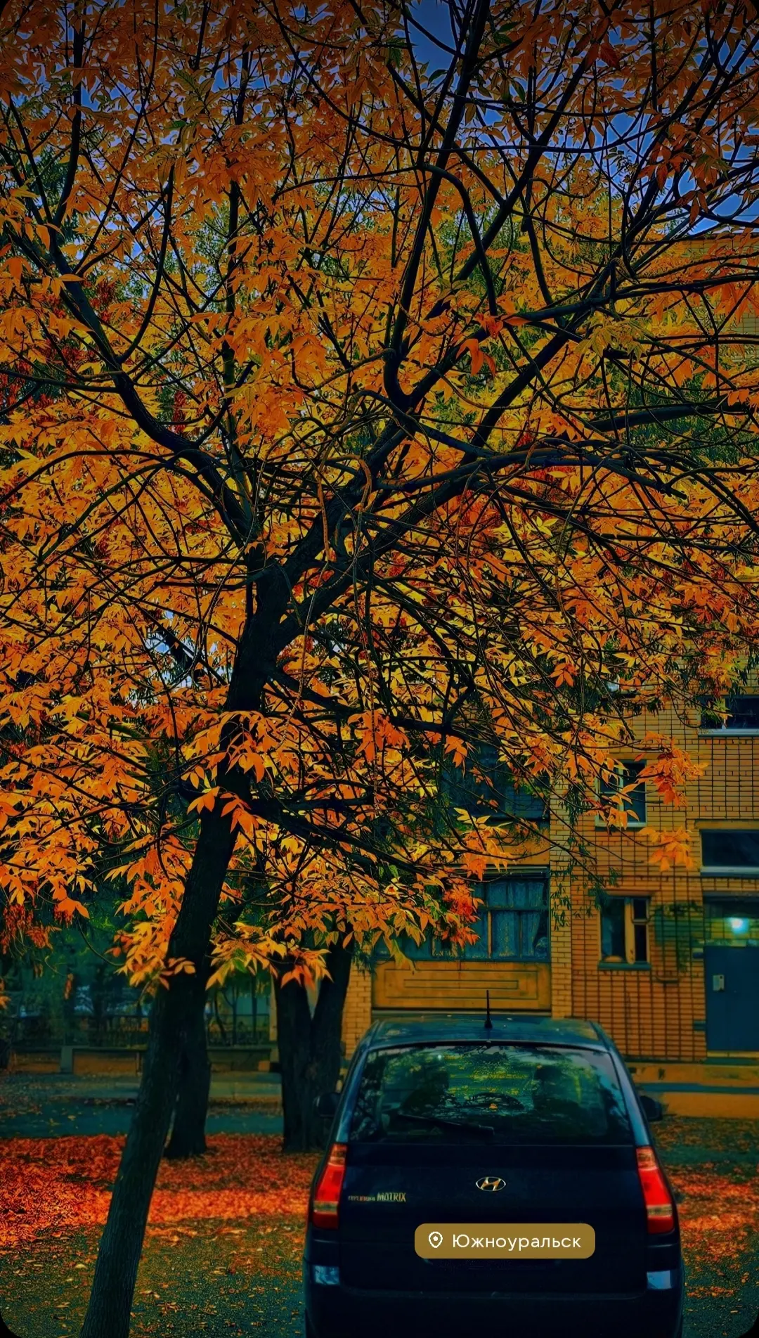 Очарование золотой поры...🍂🍁