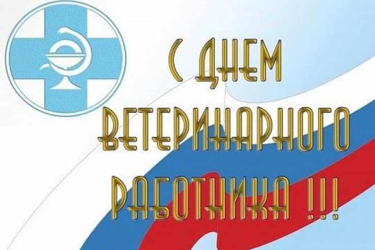 Дорогие ветеринарные работники!
