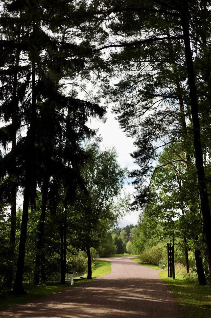 🌿 Последние летние дни в Мещерском лесу