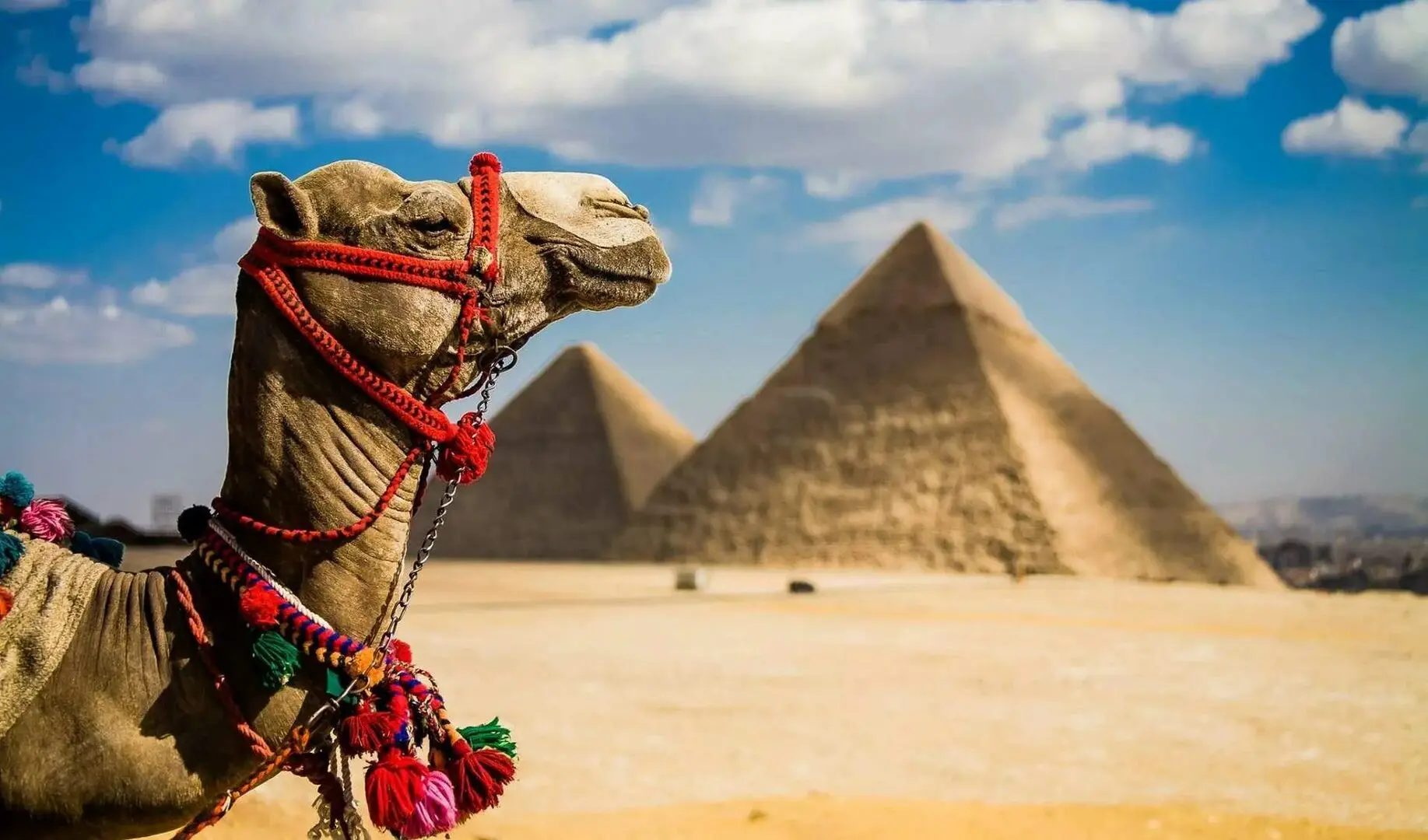 Египет в августе 🐫