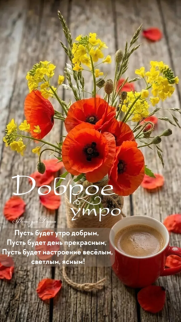 ДОБРОЕ  УТРО