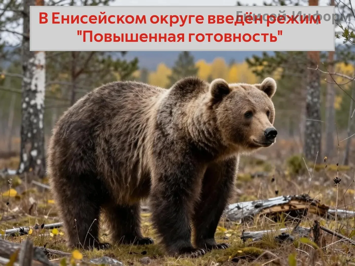 В Енисейском округе ввели режим функционирования «Повышенная готовность»