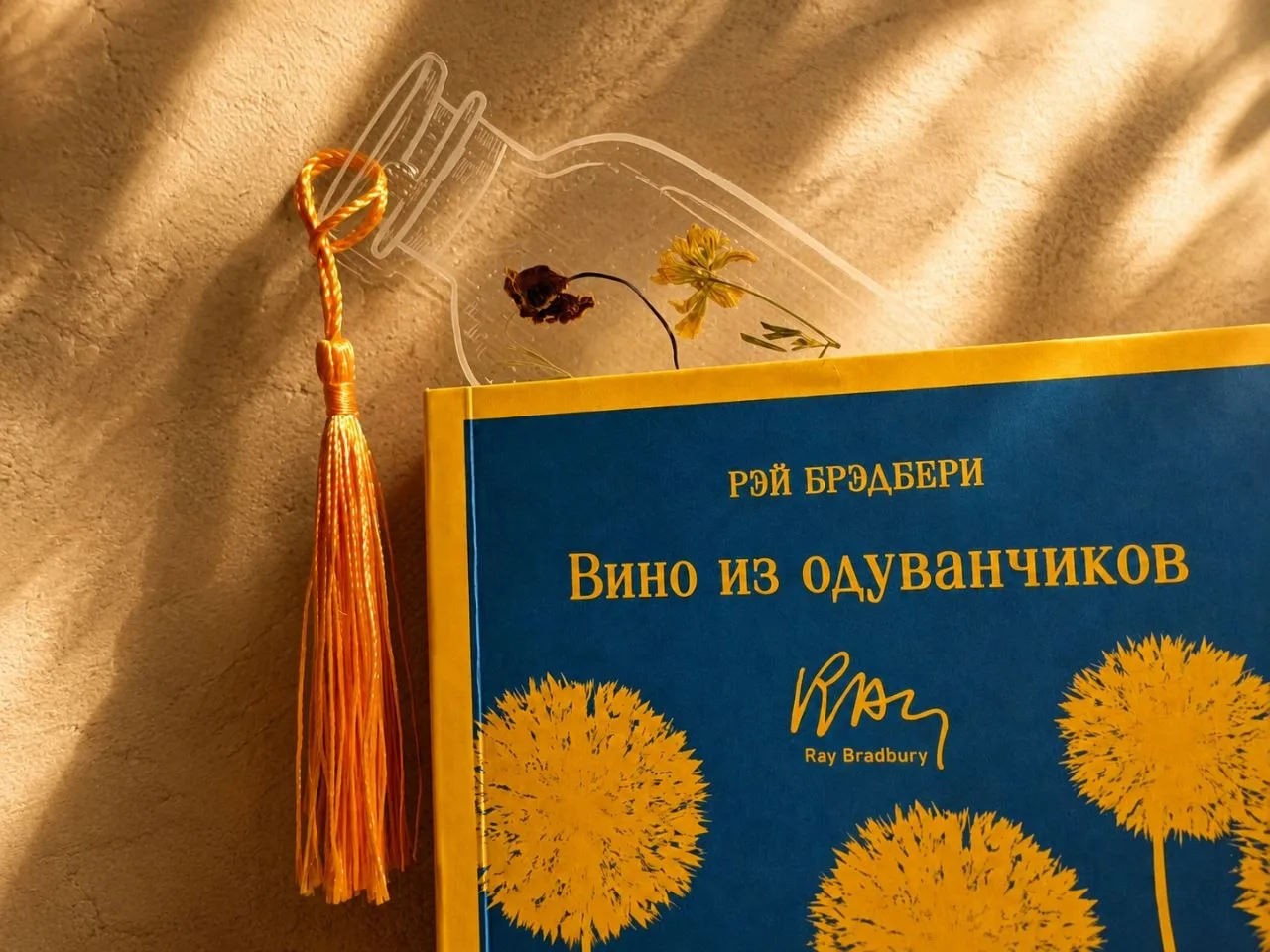 Эстетика чтения

Помните, рассказывала, что мне подарили комплект разных рукодельных закладочек с за
