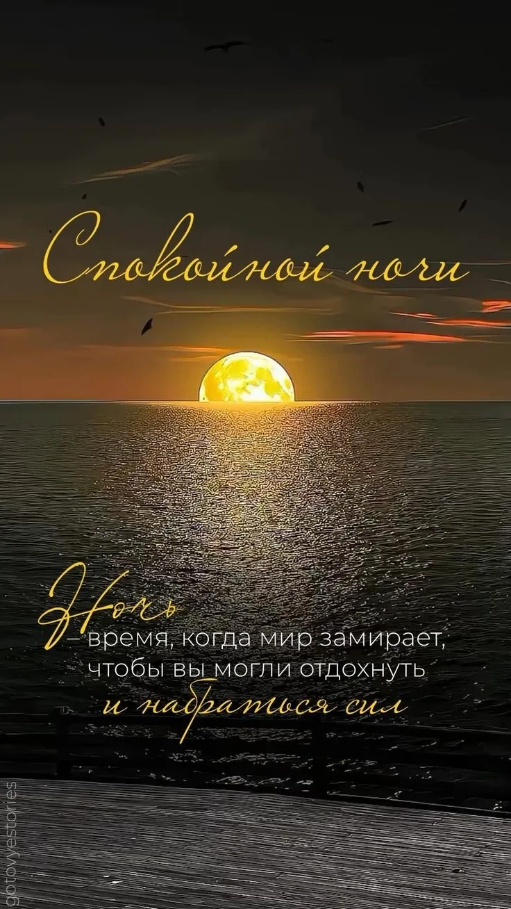 Доброй,тихой и спокойной ночи всем участникам канала✨🌙Пусть эта лунная ночь нашепчет в...